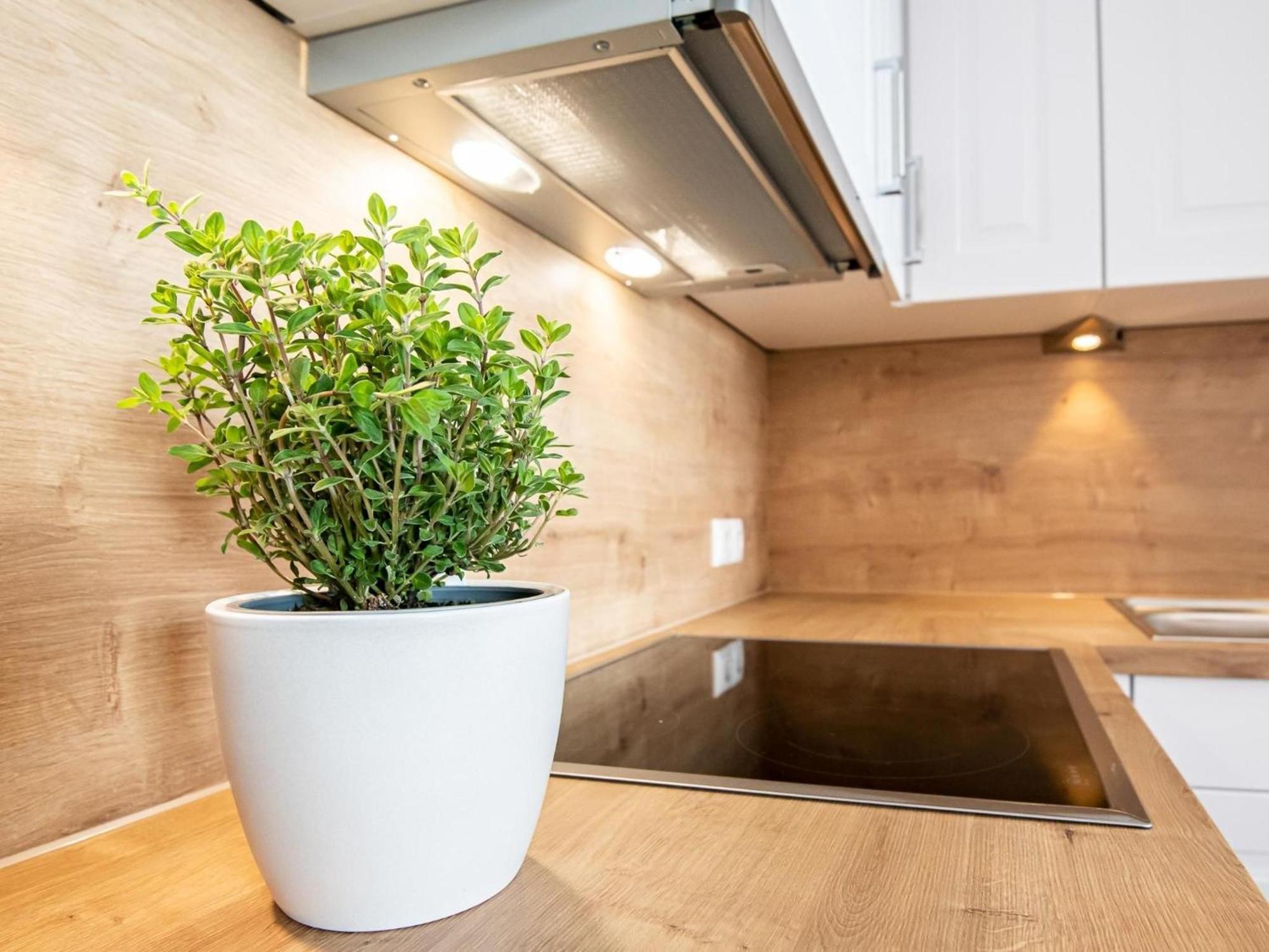 Berolina 804 Penthouse Mit Meerblick ダーメ エクステリア 写真